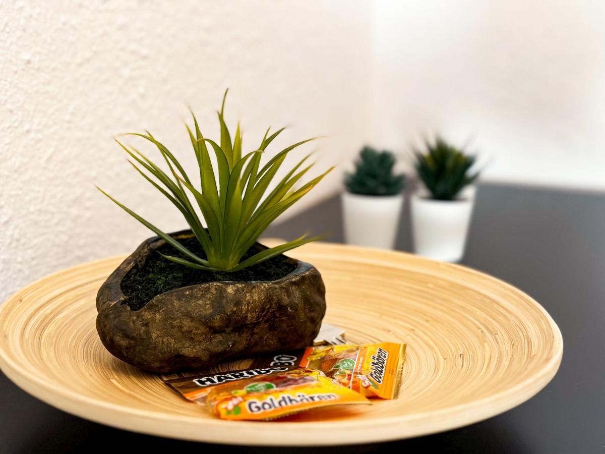 Modernes Apartment Naehe Chemnitz Wifi Netflix Neukirchen  ภายนอก รูปภาพ